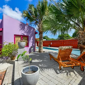Cadushi , Oranjestad Aruba